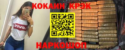 стаф Гай