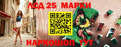 стаф Гай