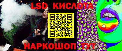 стаф Гай