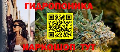 молекула духа Гагарин
