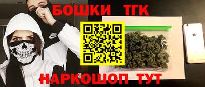 стаф Гай