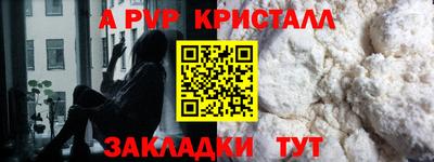 стаф Гай