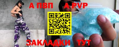 стаф Гай