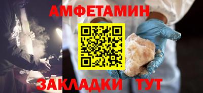 стаф Гай